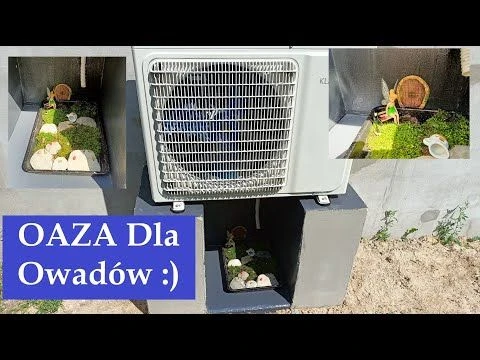 Klimatyzacja Oaza dla Owadów :) #klimatyzacja #offgrid #natural #owady #oaza